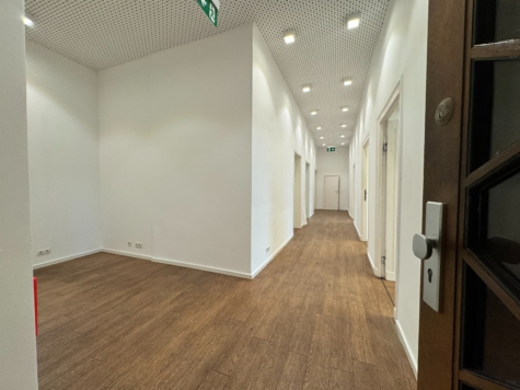 Büro- oder Praxisflächen im schönen Altbau-Denkmal Potsdamer Straße - flur (11755)