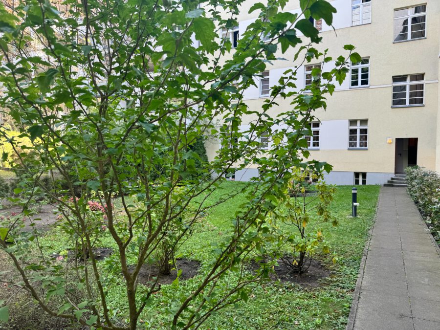 Schönes Altbaubüro im Erdgeschoss mit Vorgarten und 4-5 Räumen - hinterhof und garten (13304)